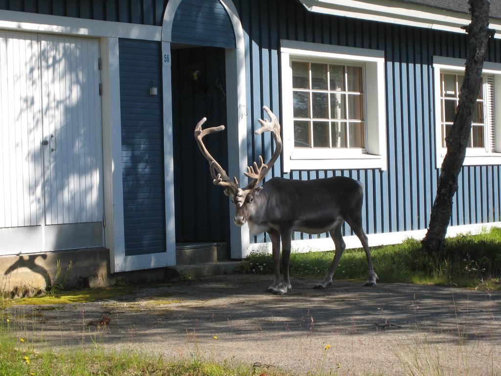 Saariselaen Marjamajat Villa Saariselka Exterior foto